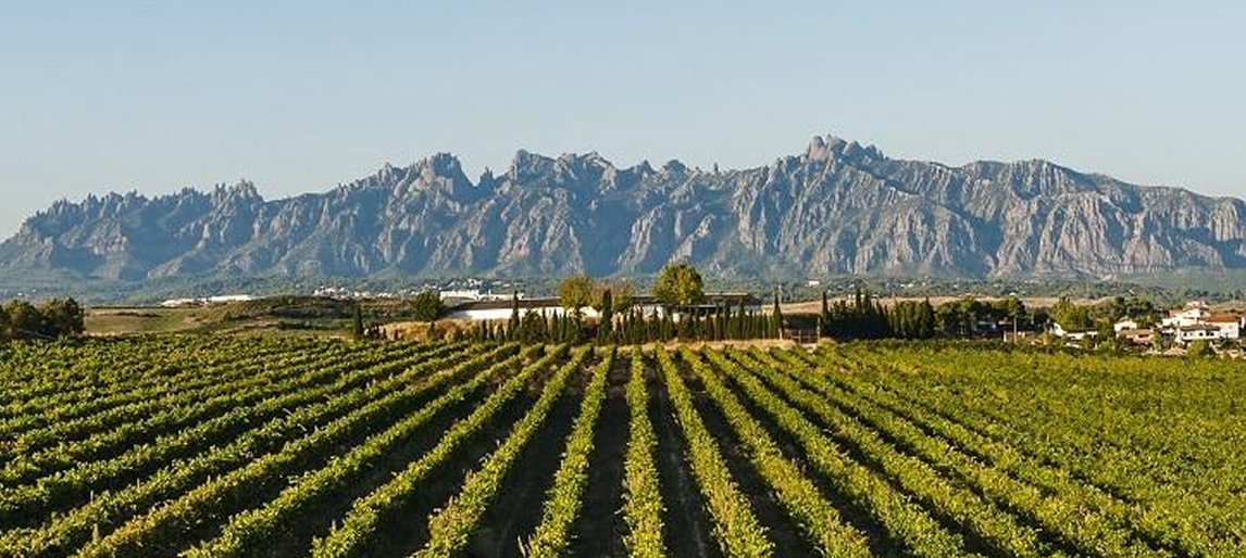 BRIEFING WEB PRIVAT 1